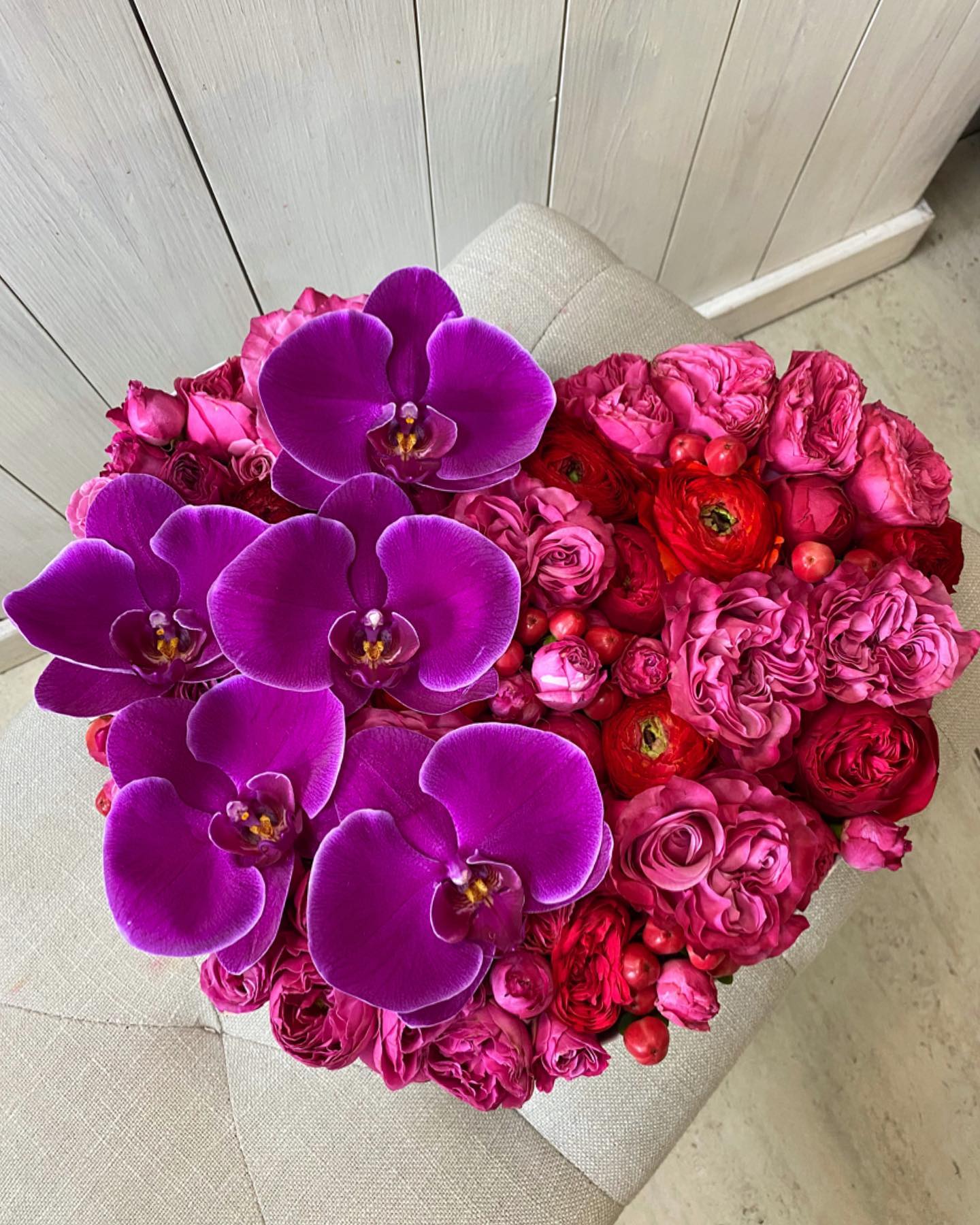 Orchivane