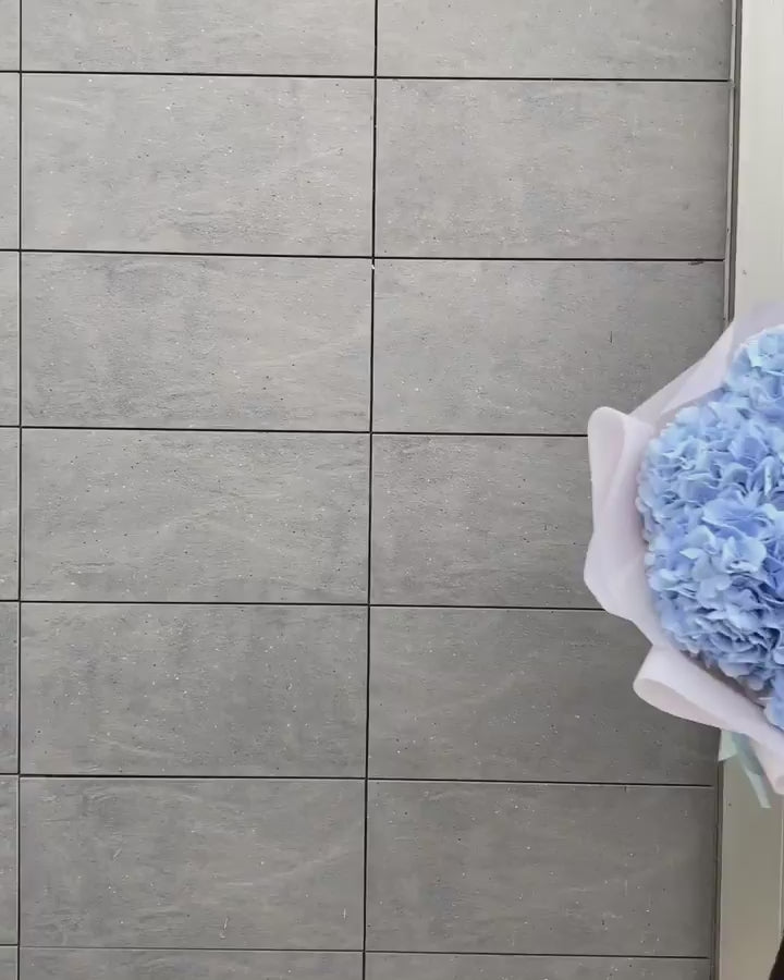Cloud Sorbet
