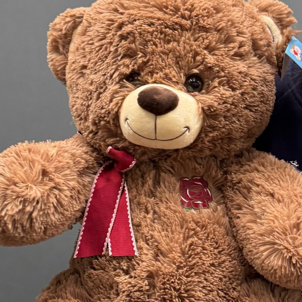Velvet Hug Teddy