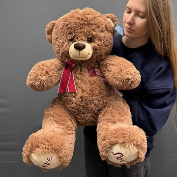Velvet Hug Teddy