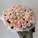 Pink Mondial Roses