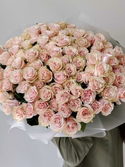 Pink Mondial Roses