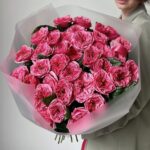 Pink Expression roses
