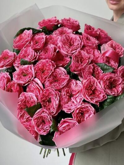 Pink Expression roses