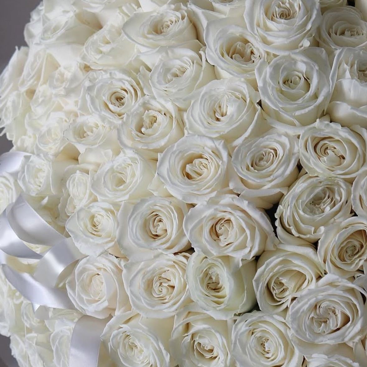 White roses - Image 2