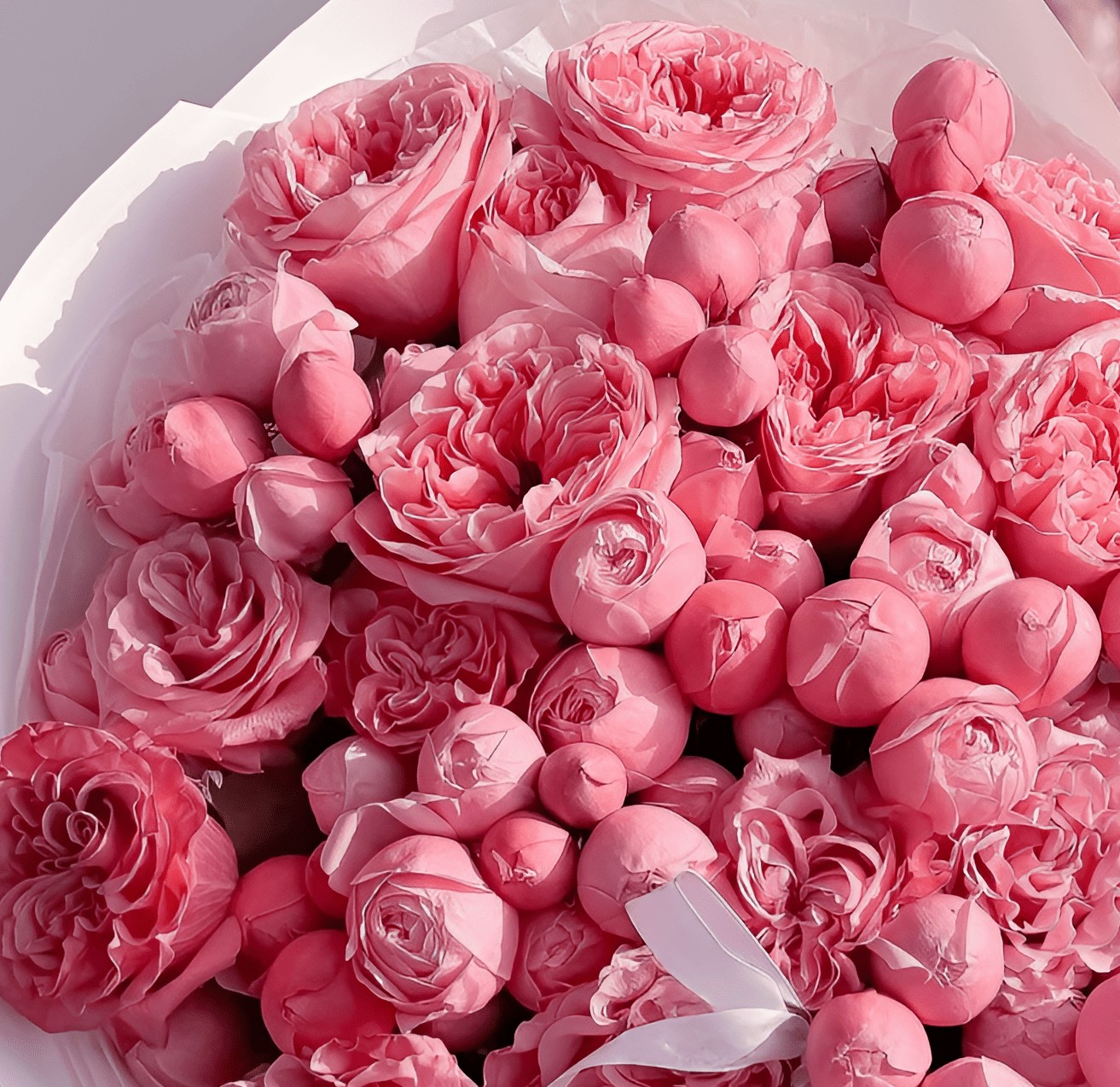 Pink Obsession - Image 2