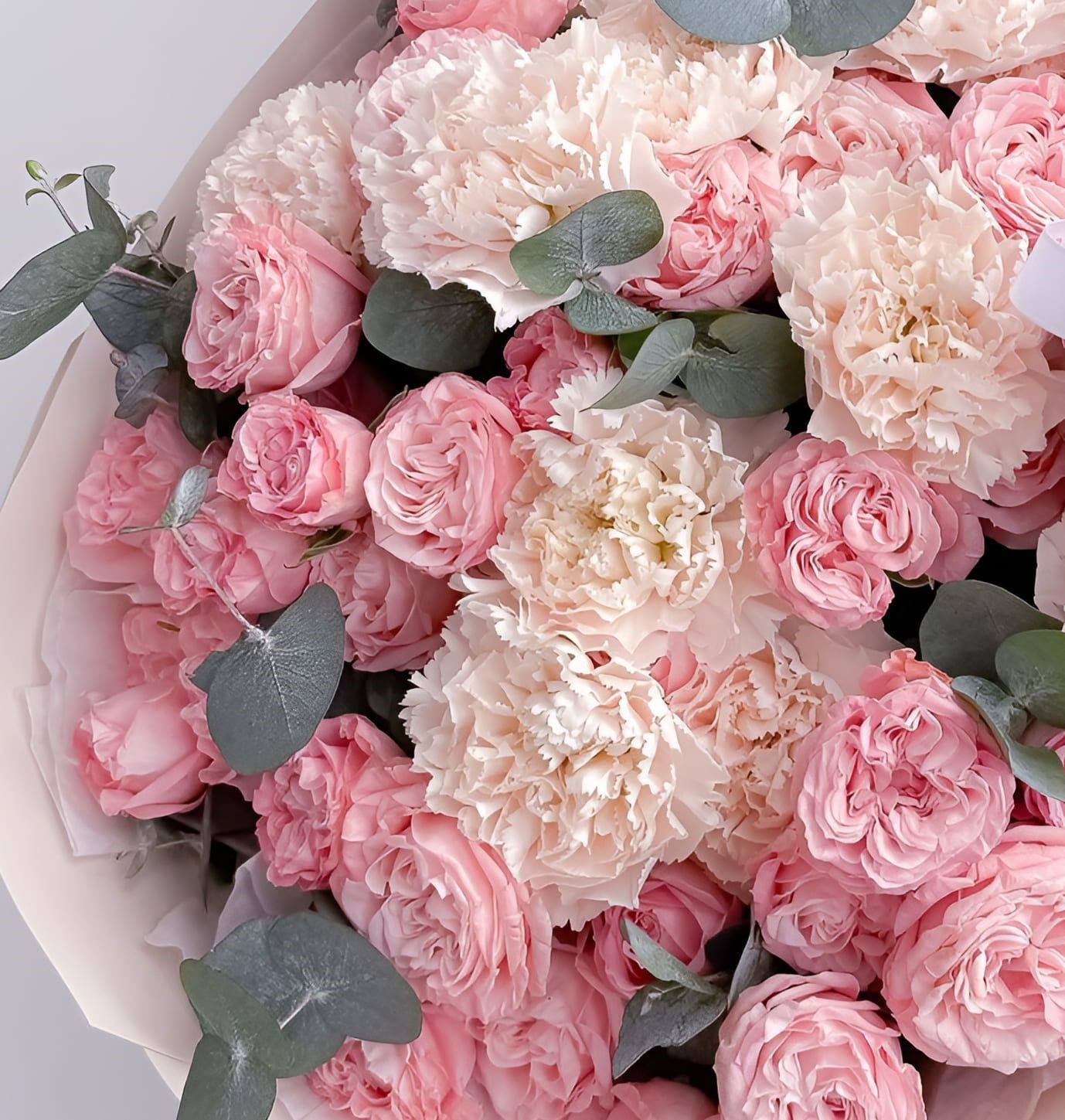 Blush Harmony - Image 2