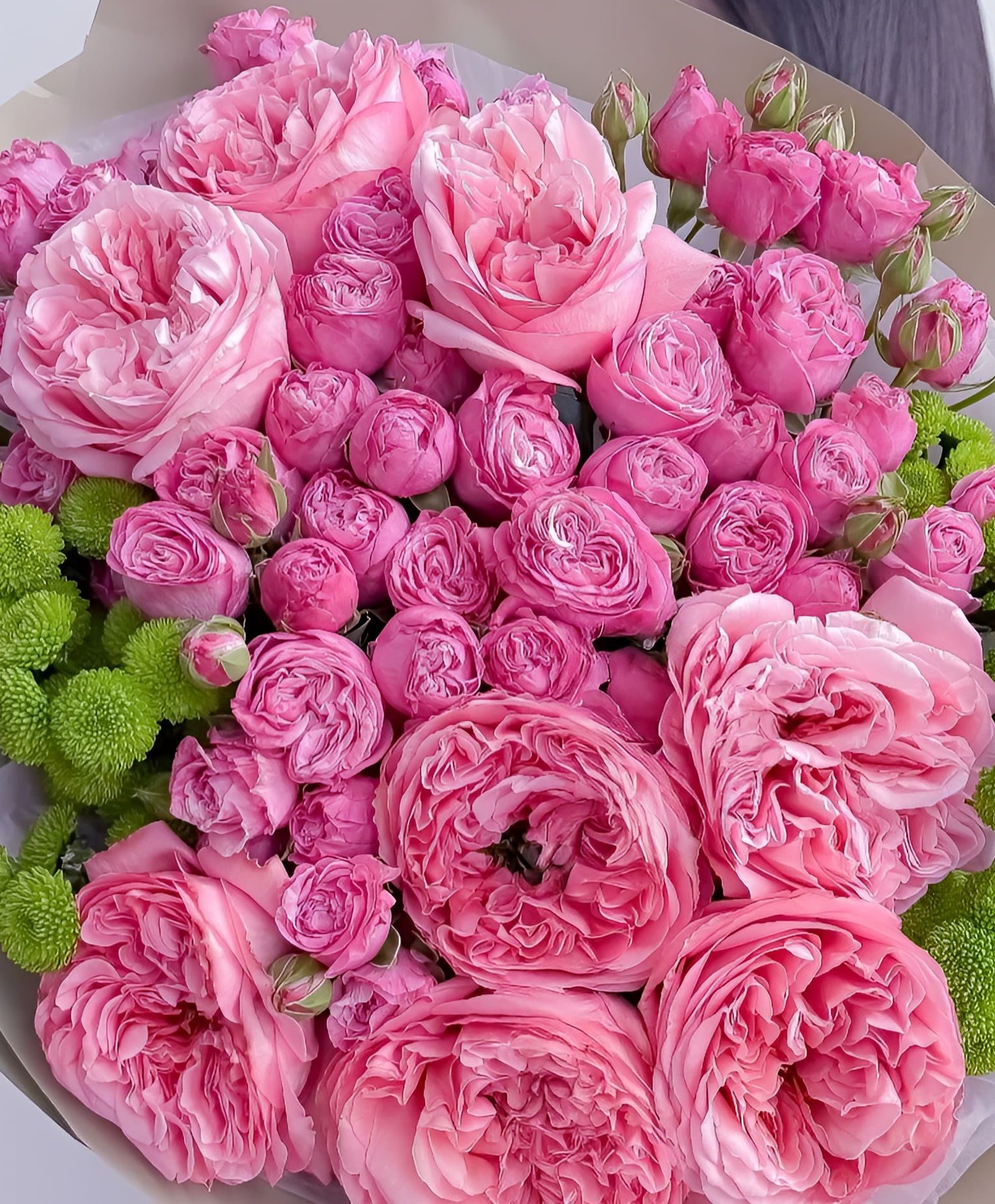 Rosy Charm - Image 2