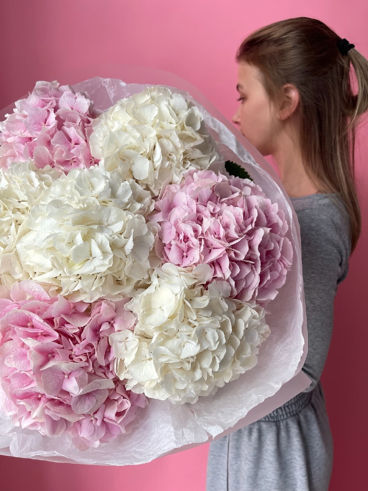 Hydrangea Harmony - Image 2