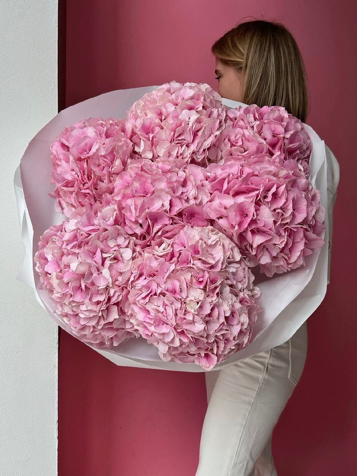 Pink Hydrangea