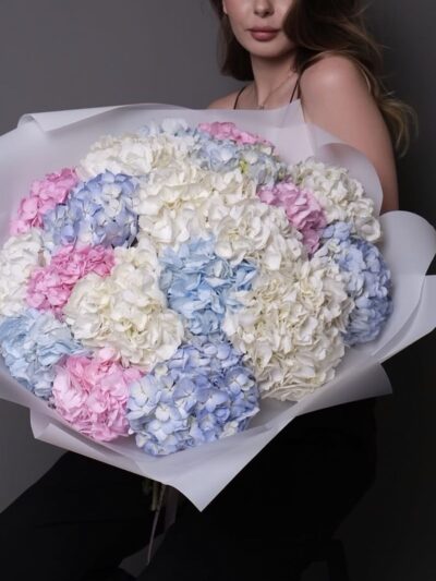 Mix of Hydrangea