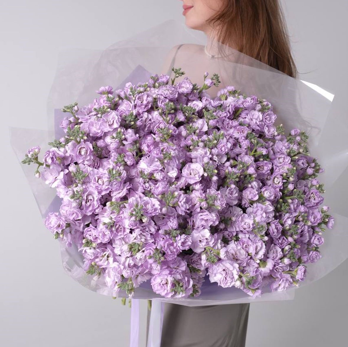 Lavender stock flower - Image 4