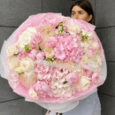 Blush Peony Horizon