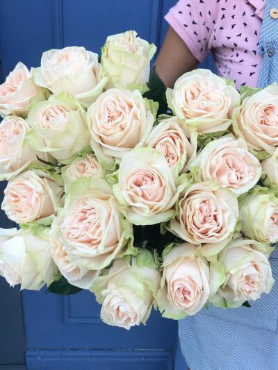 Blush Rose Atelier