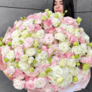 Cotton Candy Lisianthus
