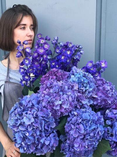 Indigo Garden Cloud