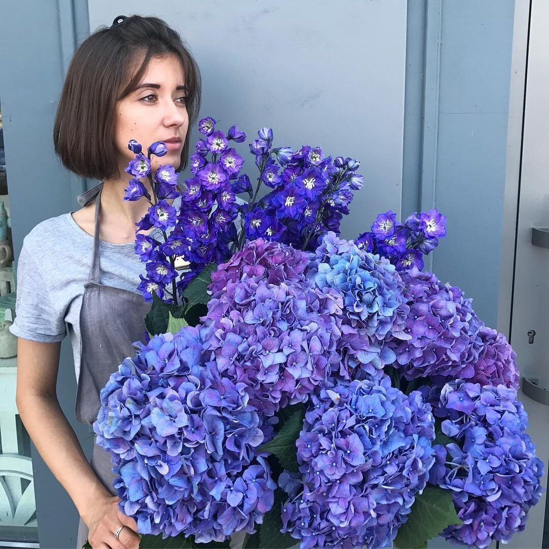 Indigo Garden Cloud