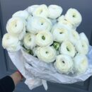 Ivory Ranunculus Cloud