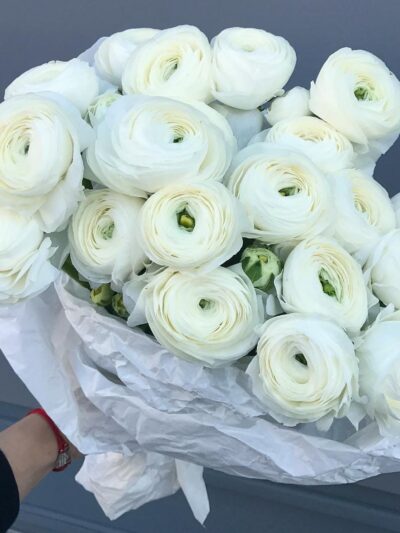 Ivory Ranunculus Cloud