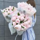 Maison Peony Pink