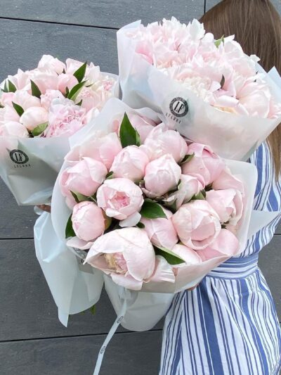 Maison Peony Pink