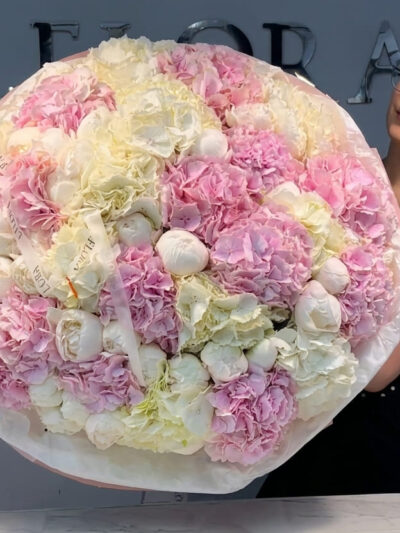 Marshmallow Peony
