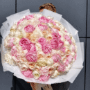 Pink Champagne Peonies