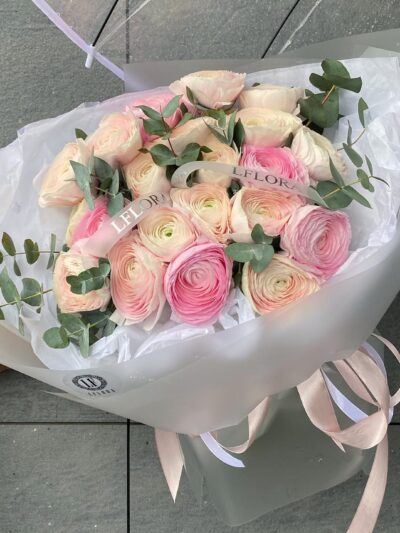 Rosy Ranunculus