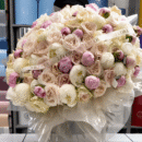 Blush Ivory Peony Garden