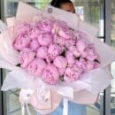 Blush Peony Cloud