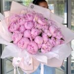 Blush Peony Cloud