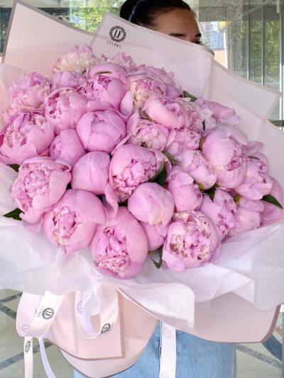 Blush Peony Cloud