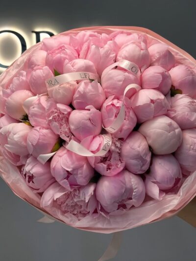Pink Peony Maison
